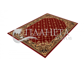 Синтетичний килим Optimal Felis Bordo - Висока якість за найкращою ціною в Україні